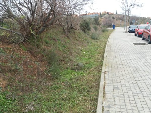 Actuación desbroce y limpieza avenida del Madroño (2)