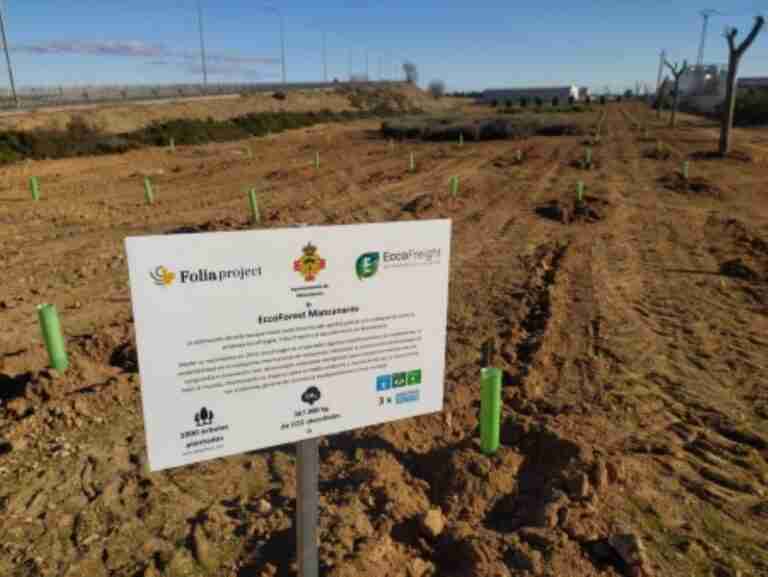 arboles sembrados en manzanares