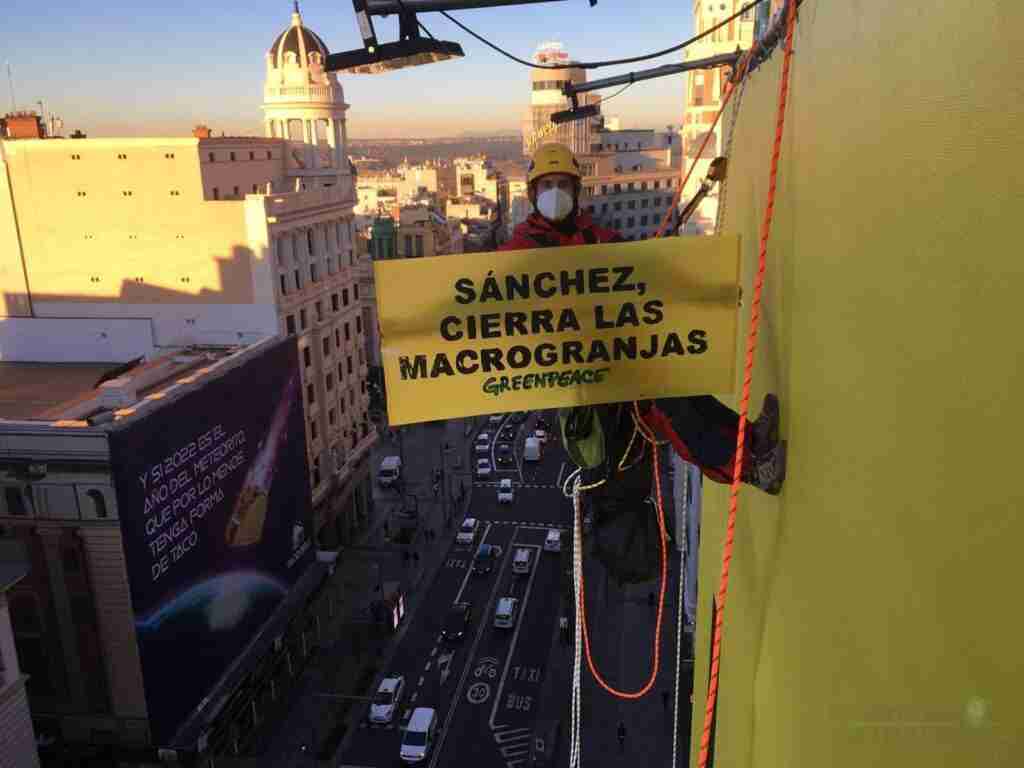 Greenpeace “trolea” su propia pancarta en Gran Vía para exigir el cierre de las macrogranjas 11