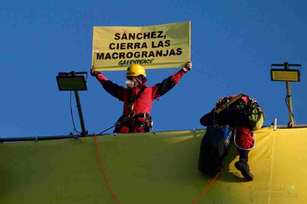 Greenpeace “trolea” su propia pancarta en Gran Vía para exigir el cierre de las macrogranjas 14