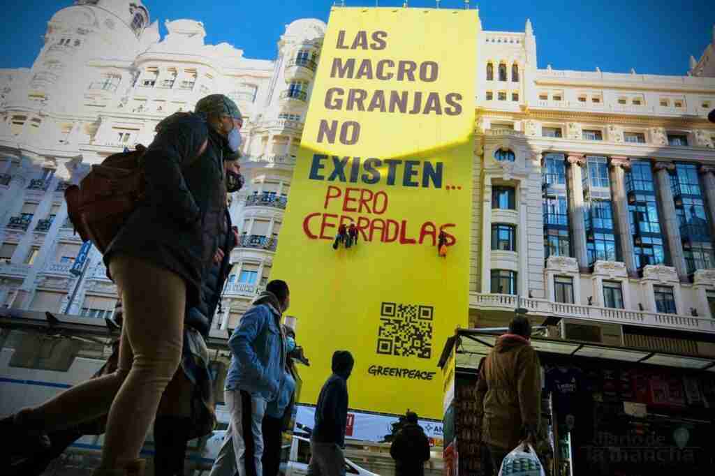 Greenpeace “trolea” su propia pancarta en Gran Vía para exigir el cierre de las macrogranjas 15