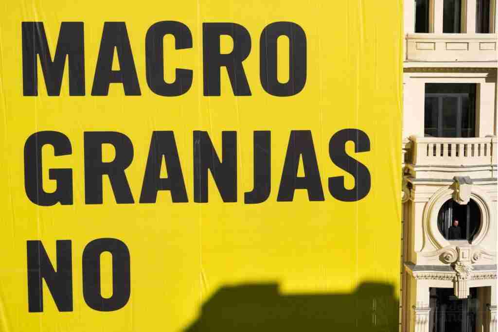 Greenpeace “trolea” su propia pancarta en Gran Vía para exigir el cierre de las macrogranjas 5
