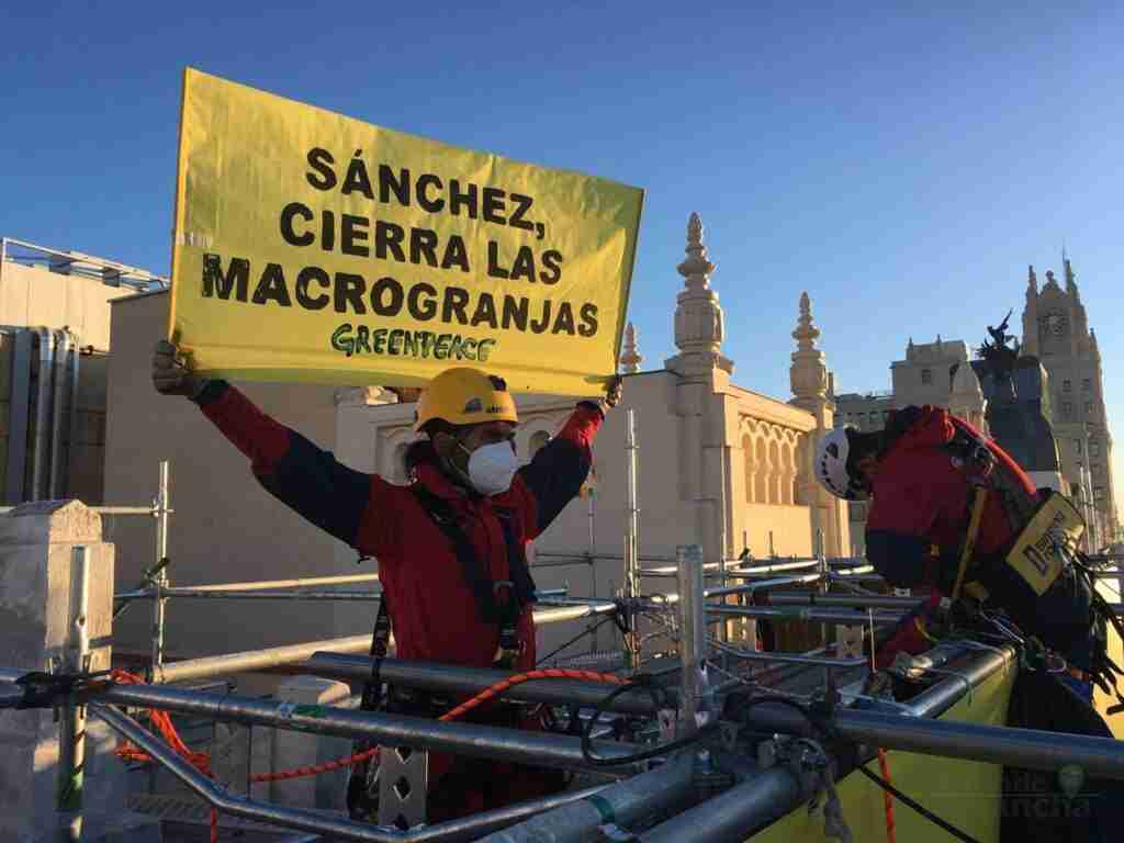 Greenpeace “trolea” su propia pancarta en Gran Vía para exigir el cierre de las macrogranjas 9