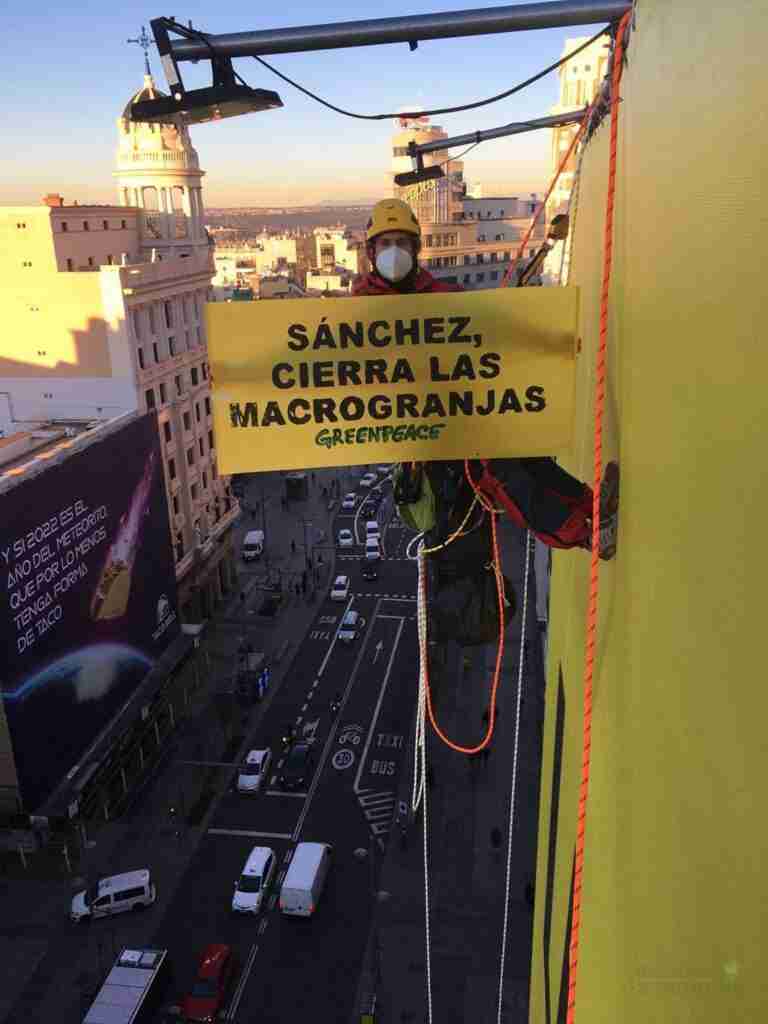 Greenpeace “trolea” su propia pancarta en Gran Vía para exigir el cierre de las macrogranjas 9