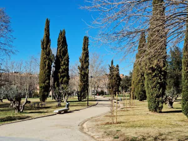 La plantación de nuevos árboles continúa esta semana en el Parque de las Tres Culturas y otros espacios y calles de la ciudad 2