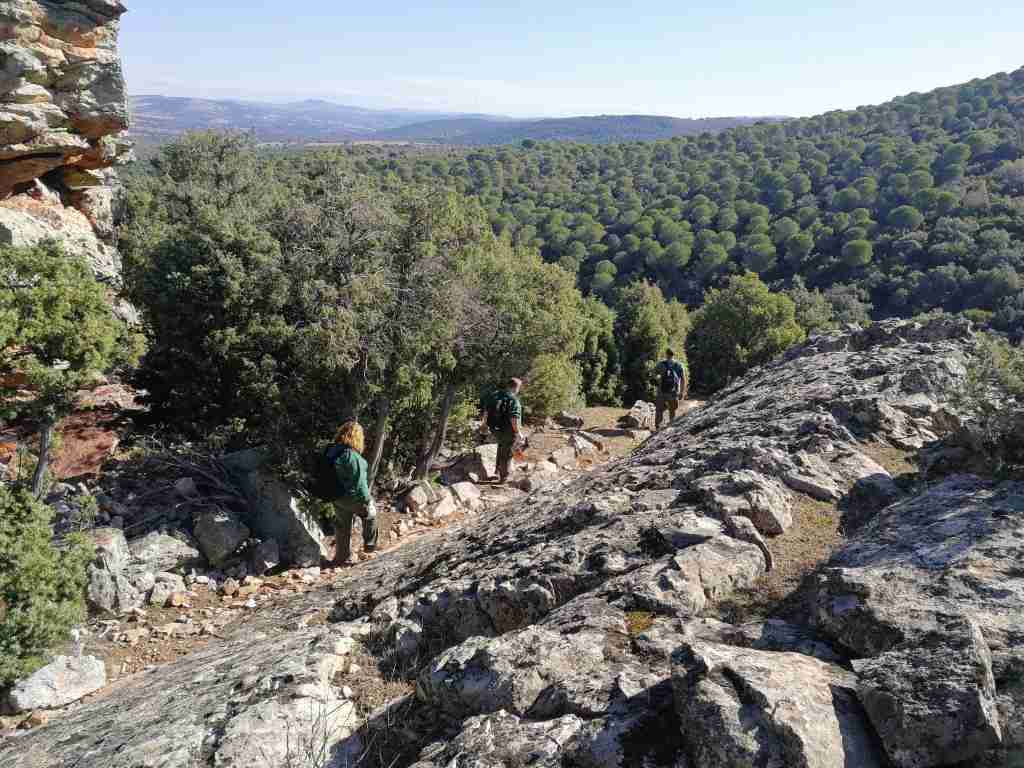 Viso del Marqués tiene 8 nuevos profesionales para aprovechamiento forestal 1