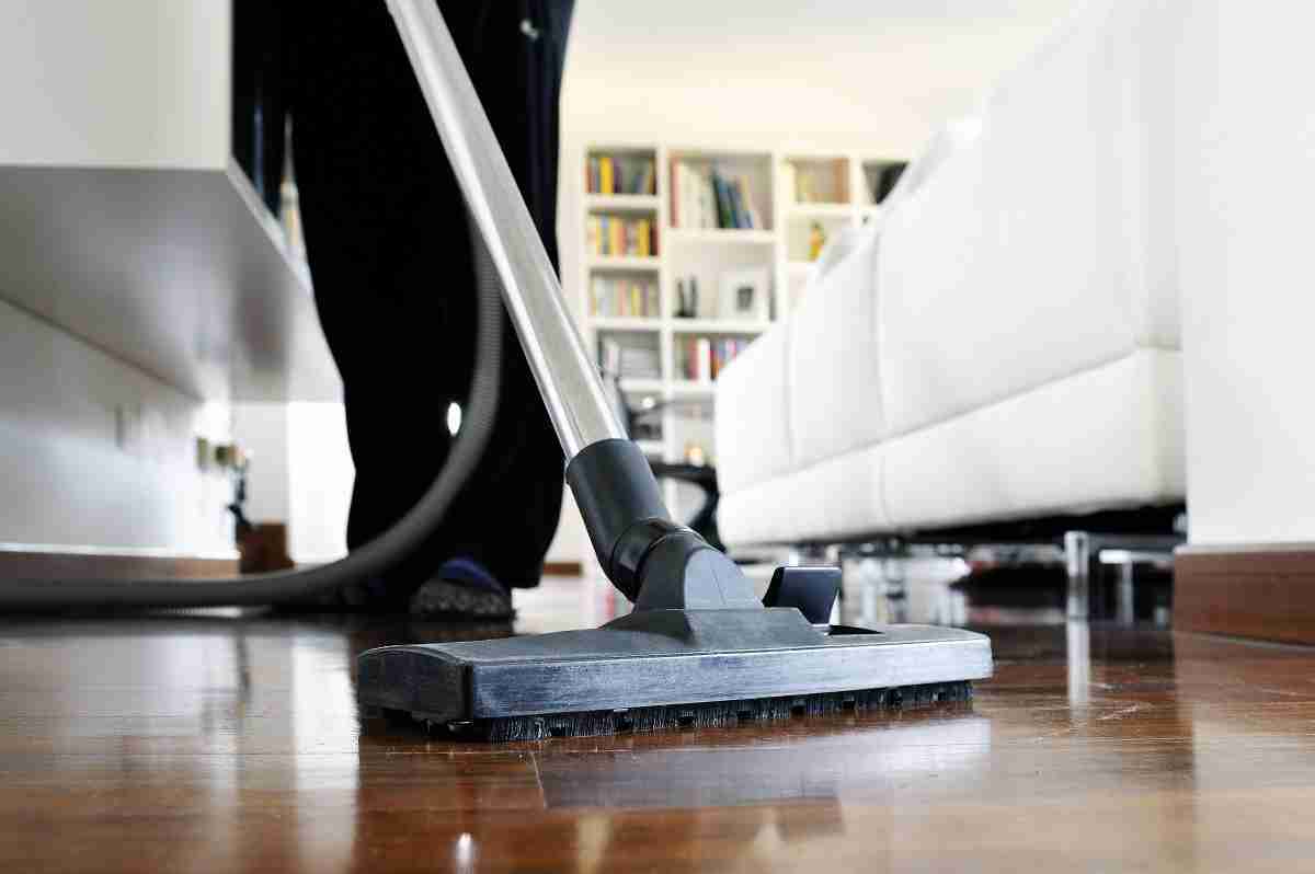 toque Rebajar Absurdo Mejores aspiradoras para mantener limpia tu casa este 2022 | Noticias de  Castilla-La Mancha