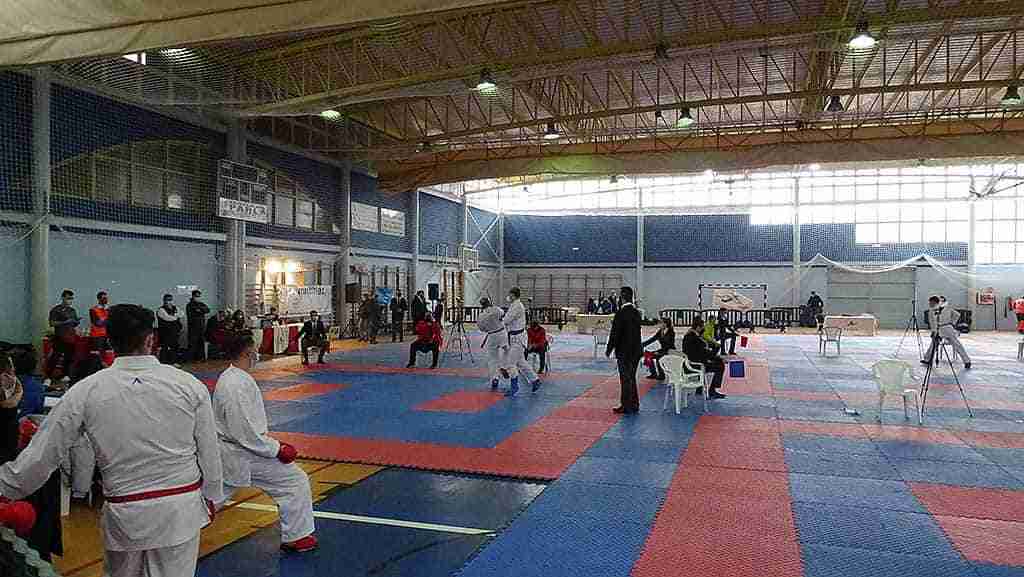 Quintanar de la Orden celebra con éxito el Campeonato de Castilla –La Mancha de Karate 2