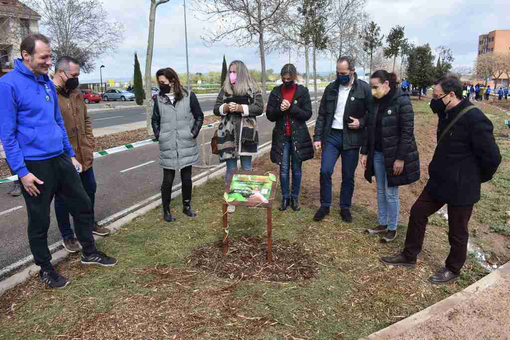 SalesiÁrbol  