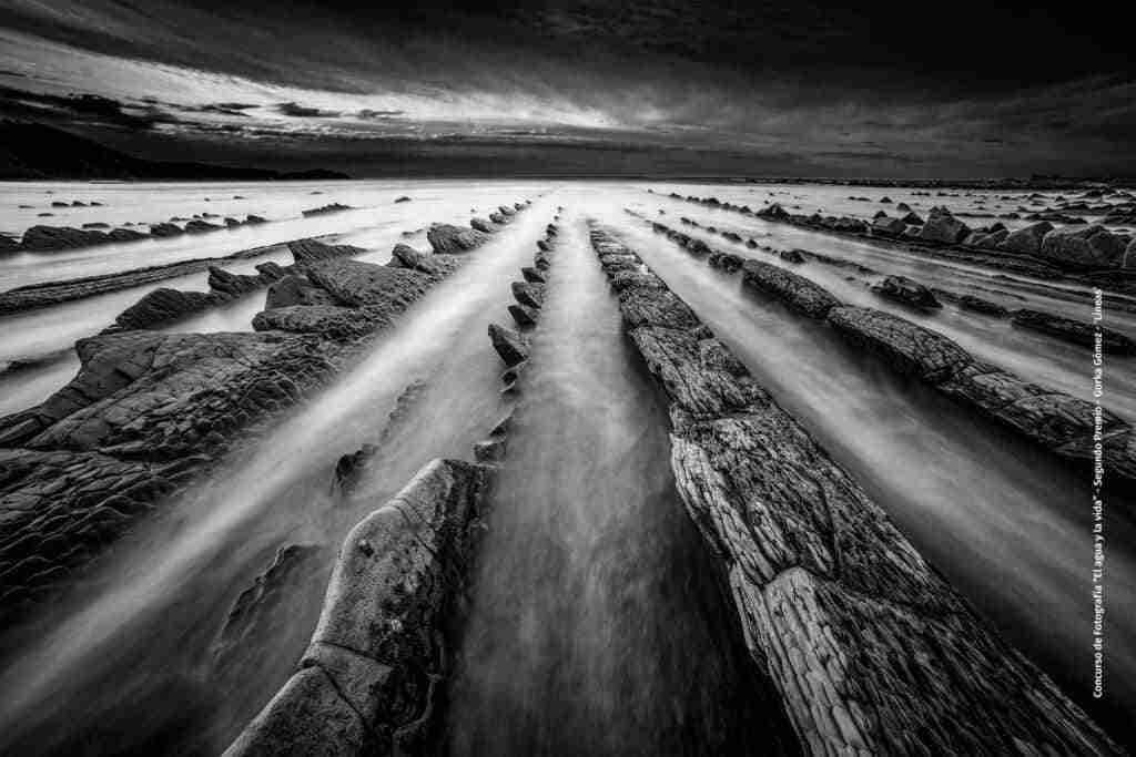 Arturo López gana el Primer Premio del Concurso de Fotografía “El agua y la vida” 2