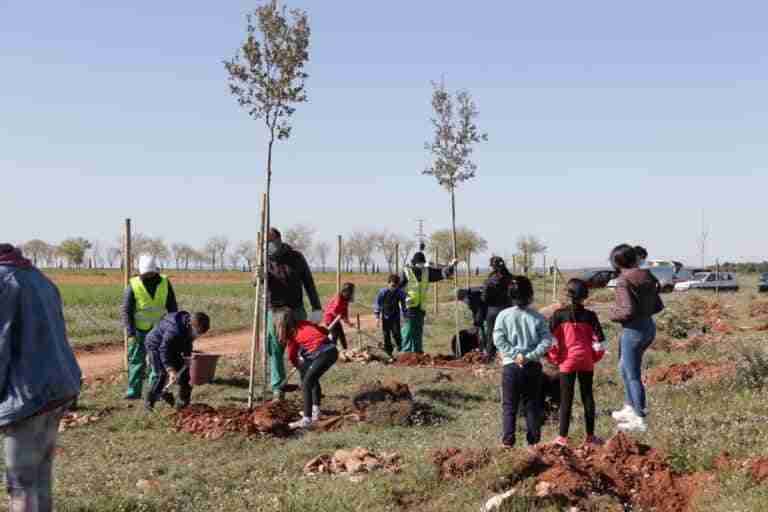 escolares reforestan vereda de siles en manzanares