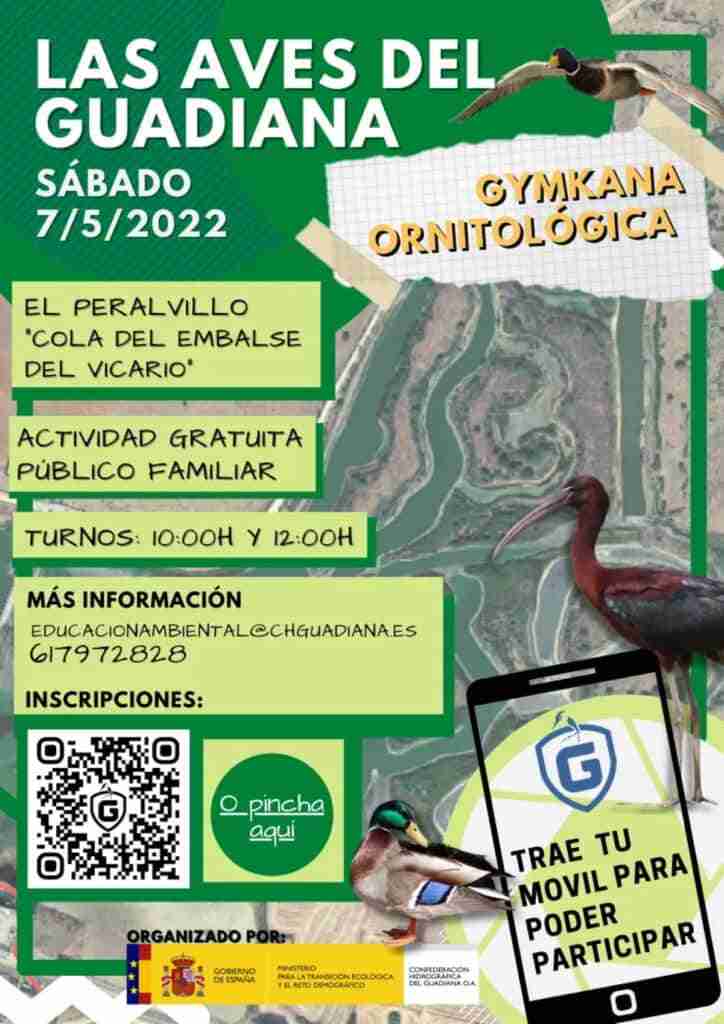 gymkana peralvillo sabado gratuita