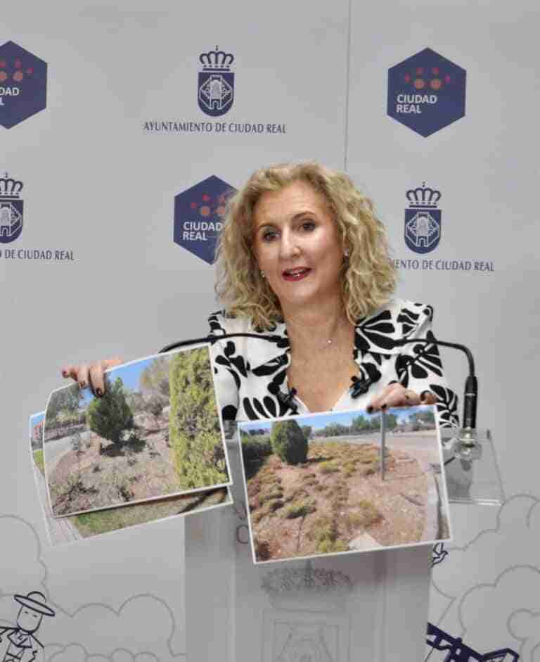 PP Ciudad Real propondrá en el pleno del Ayuntamiento que los ciudadanos puedan pagar por Bizum los tributos municipales
