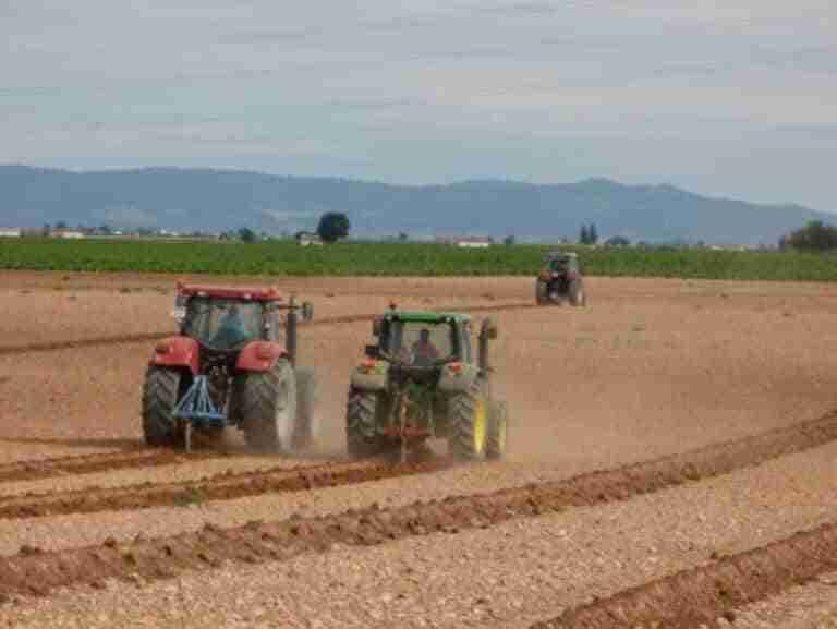 concurso de arada con tractor fercam