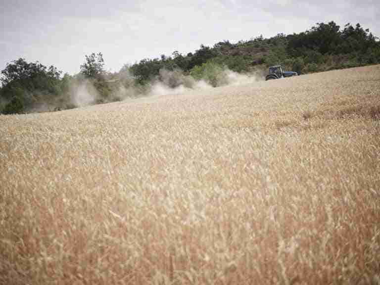C-LM pide extremar las precauciones en el medio natural ante la llegada de una larga ola de calor