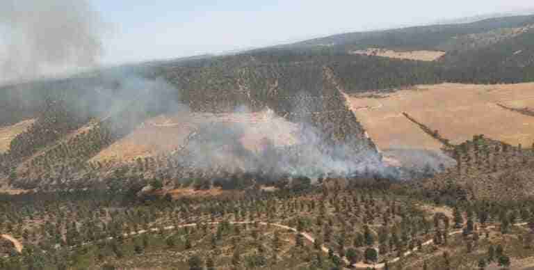 Controlado el incendio de Almadén (Ciudad Real)