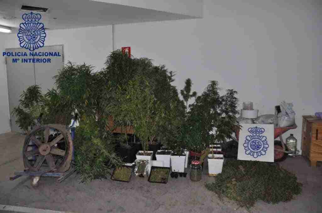 Descubren una plantación de marihuana en Valdepeñas tras acudir a una llamada que alertaba de un incendio