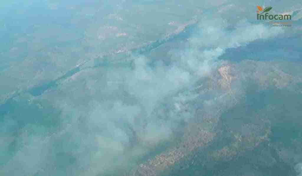 Incendios.- Desalojadas unas 100 personas por el incendio de Casas de Lázaro, que ha calcinado unas 160 hectáreas