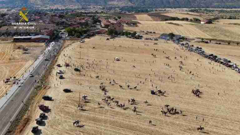 La Guardia Civil investiga a una persona y detecta diversas infracciones en el encierro por el campo de Uceda