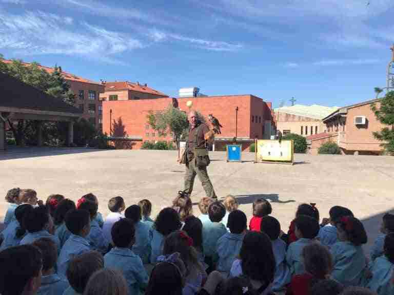 Más de 1.600 alumnos de nueve centros educativos de C-LM conocen el mundo de la cetrería