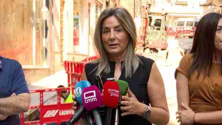 Tolón se compromete a garantizar la seguridad de las ocas y patos de la rotonda de río Boladiez en su traslado