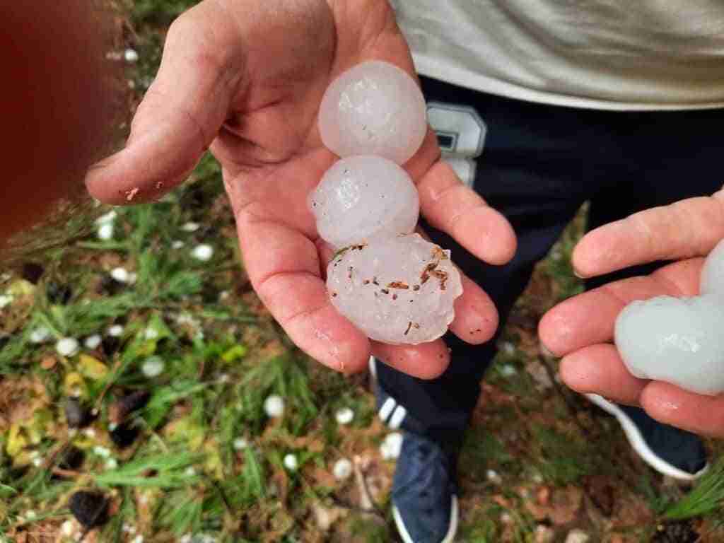 Las tormentas de pedrisco de los últimos días provocan daños en varios cultivos de nuestro país 5