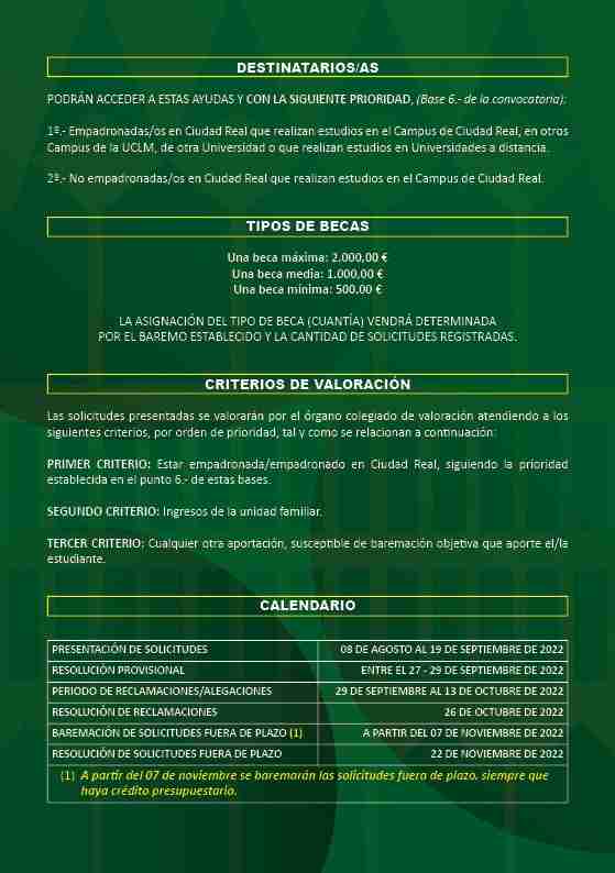 becas universitarias