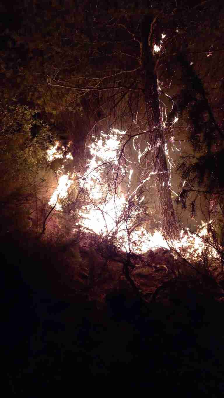 Apagan las llamas en los seis focos del incendio de Benatae (Jaén), en el que participan medios de C-LM