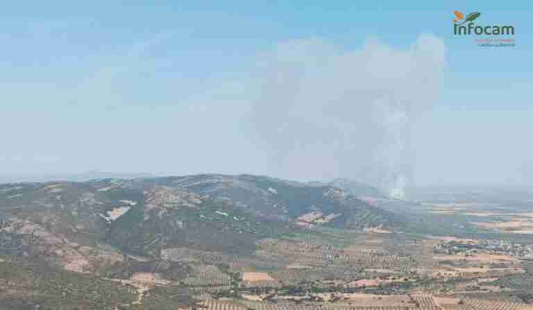 Cinco medios y 24 personas siguen trabajando en la extinción del incendio de Malagón, ya controlado