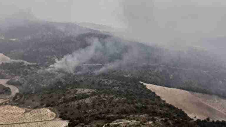 El fuego de Jumilla continúa estable y podría quedar extinguido a mediodía