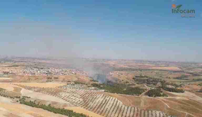 Extinguido el fuego declarado este domingo en la localidad toledana de Añover de Tajo