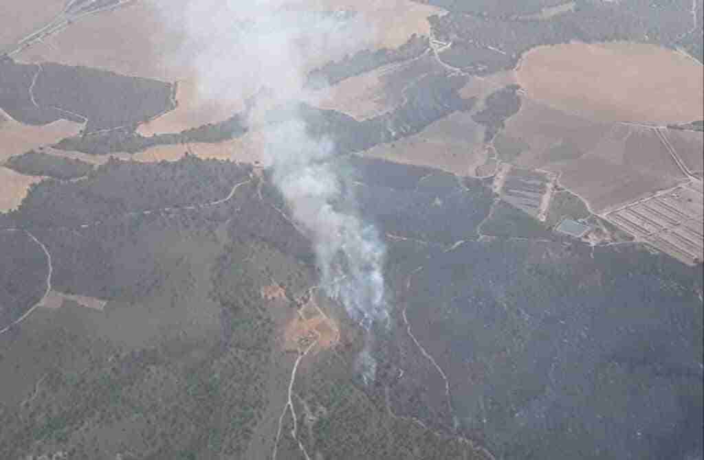 Extinguido el fuego originado el pasado sábado en 'Las Lomas del Gamonal' de Hellín
