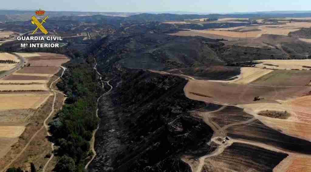 Investigado el conductor de una cosechadora por provocar el incendio de Cerezo de Mohernando que calcinó 1.272 hectáreas