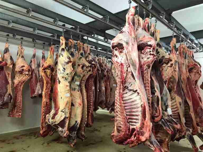 Los grandes mataderos tendrán que tener sistemas de viodeovigilancia a partir de agosto de 2023