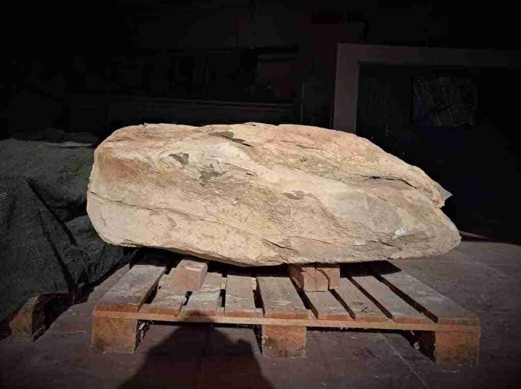 Los restos de un posible dinosaurio del Cretácico hallado en Buenache de la Sierra llegan a Museo Paleontológico de C-LM