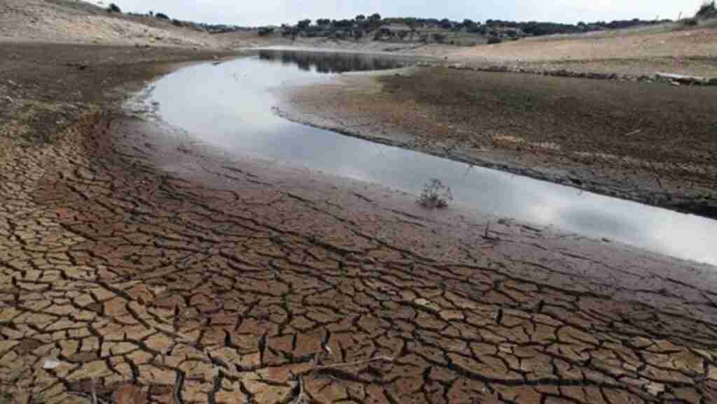 VÍDEO: C-LM, "región seca por definición", trabaja y pone medios para que no haya problemas de abastecimiento de agua