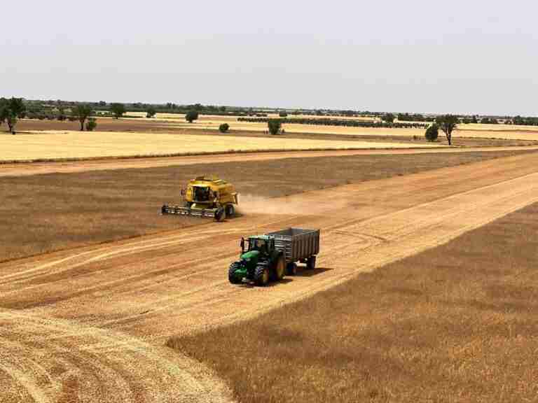 VÍDEO: La campaña del cereal en C-LM ha sido más baja que la anterior pero tiene capacidad de competir en el mercado