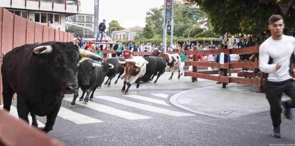Dos heridos por asta de toro en el último encierro de Ferias de Guadalajara