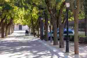 El Paseo de San Roque de Guadalajara mejorará su iluminación para peatones y vehículos