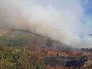 Extinguido el fuego declarado este sábado en Consuegra