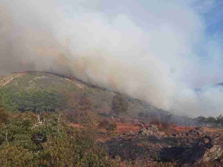 Extinguido el fuego declarado este sábado en Consuegra