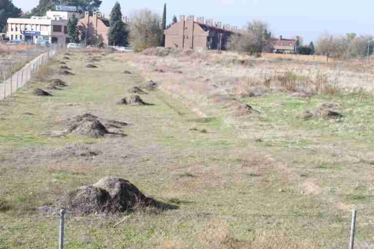 La Eurocámara pide más información sobre el proyecto urbanístico en Vega Baja al Gobierno C-LM y Ayuntamiento de Toledo