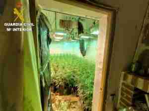 La operación 'Housefar' se salda con seis personas detenidas y 80 kilos de marihuana incautadas en Cuenca