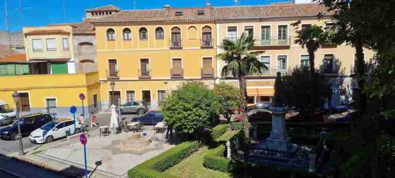 La palmera de la Plaza Padre Juan de Mariana de Talavera, retirada por motivos de seguridad