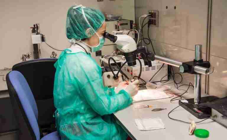 Parapléjicos y la Universidad 'Anáhuac México Campus Norte' colaborarán en la investigación de la lesión medular