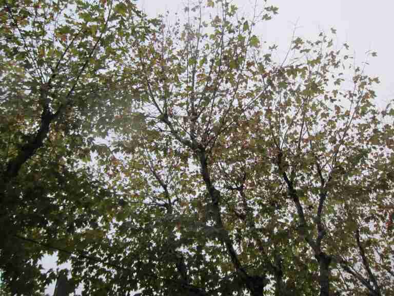 Octubre terminará con un episodio cálido, con temperaturas veraniegas de hasta 32ºC y lluvias restringidas al noroeste