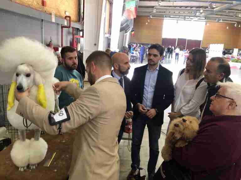 PP pide a la alcaldesa que se oponga a la Ley de Bienestar Animal, que pone en peligro la Exposición Canina de Talavera