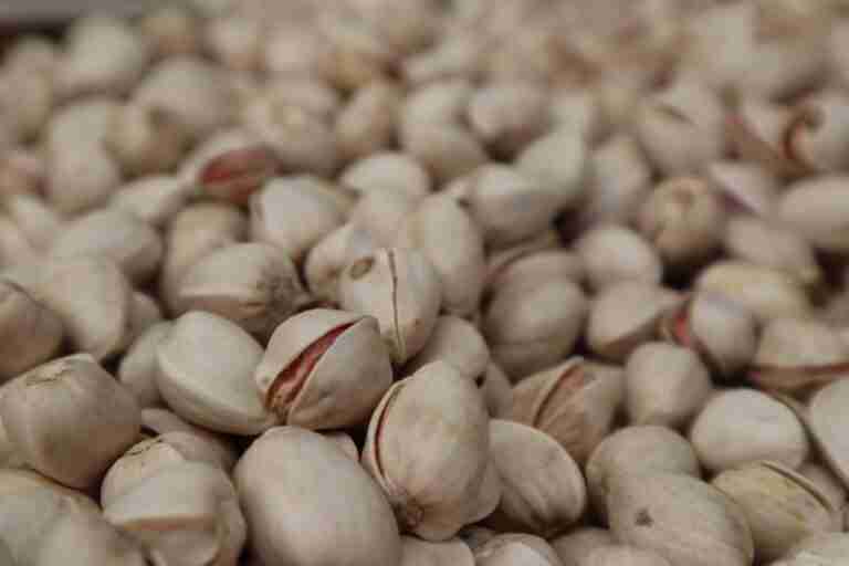 Talavera acoge el Forum Internacional del Almendro y el Pistacho con el objetivo de convertir a CLM en referente mundial