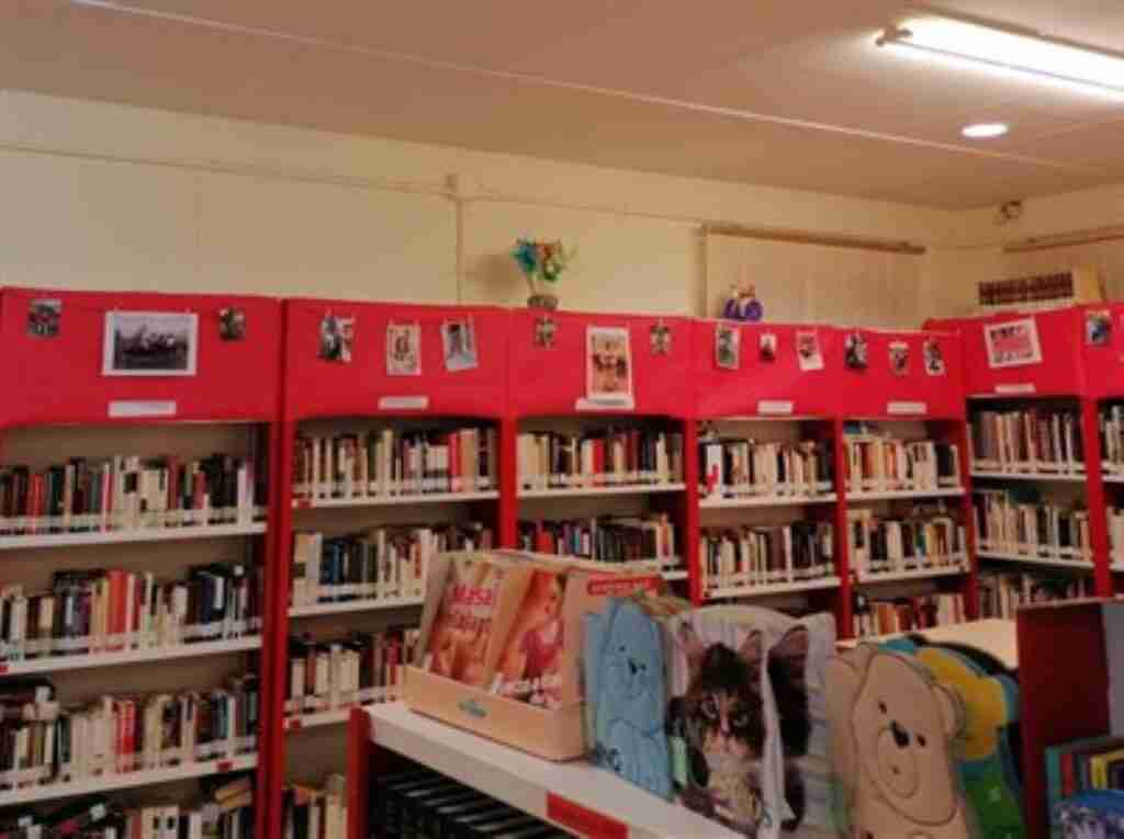 media visitantes bibliotecas municipales de cuenca