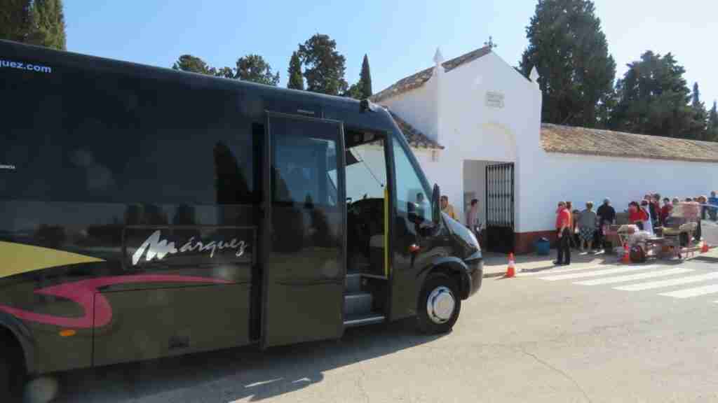 transporte publico gratuito cementerio manzanares